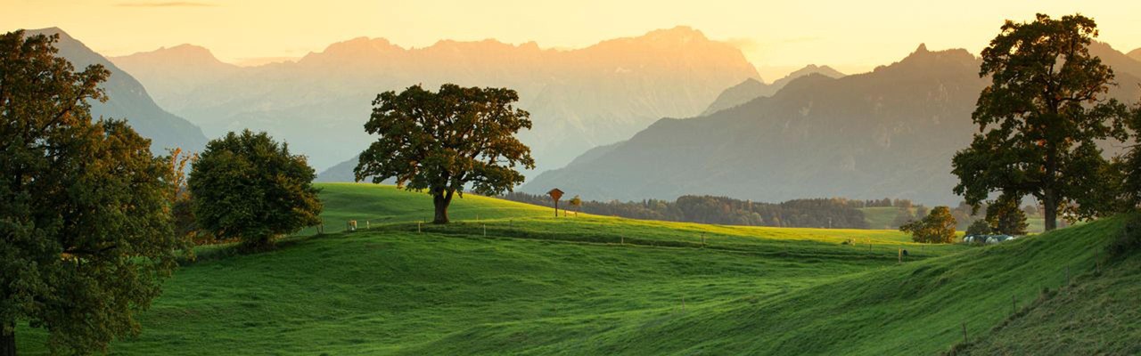 Riegsee: Wiesenlandschaft am Alpenrand in der Abendsonne