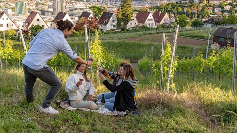 Kesselblick Stuttgart: Picknick und Wein